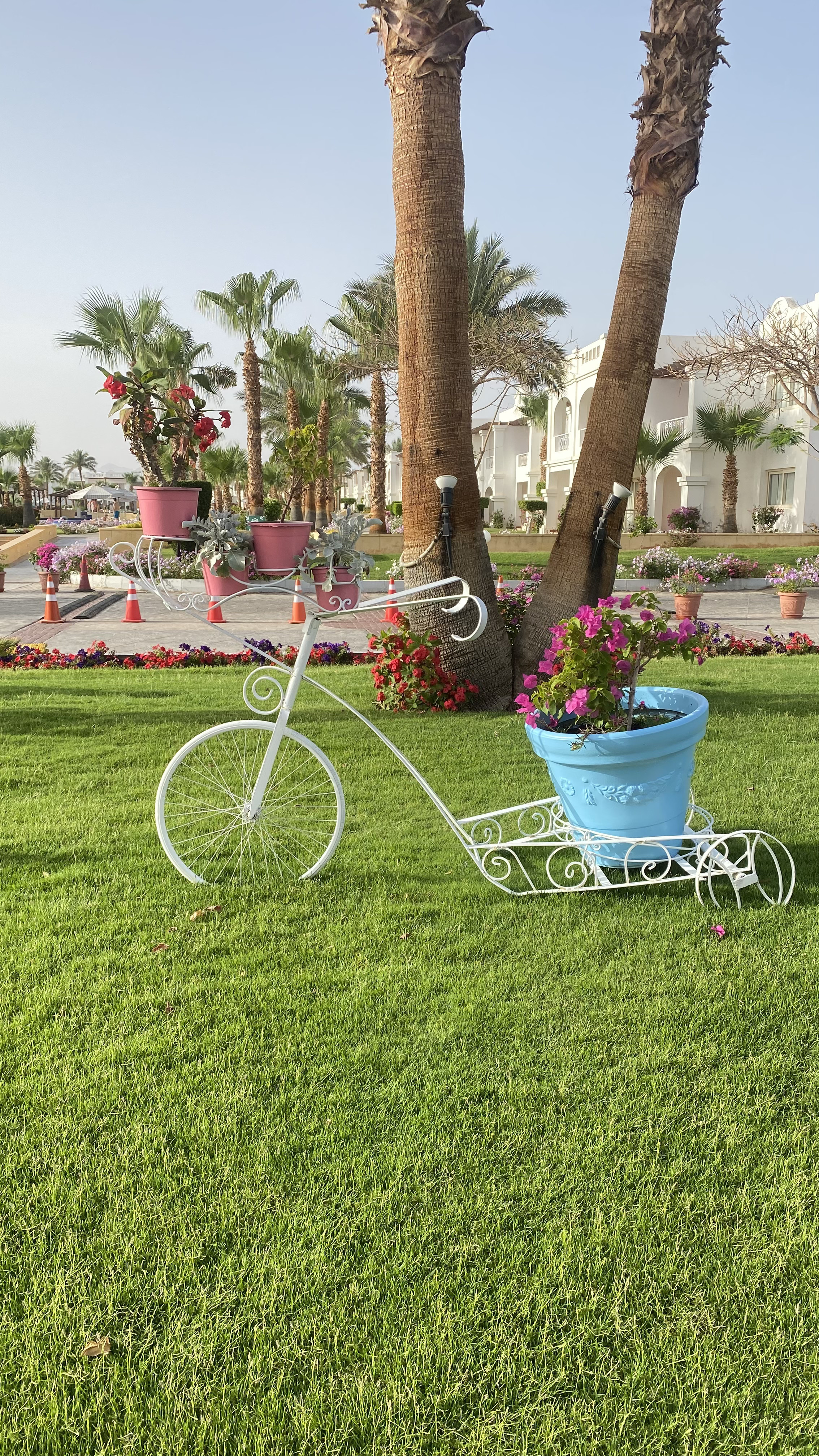 🐠 Red Sea Magic: A Full Review of Continental Plaza Beach Resort, Egypt ☀️🗺️ 4
