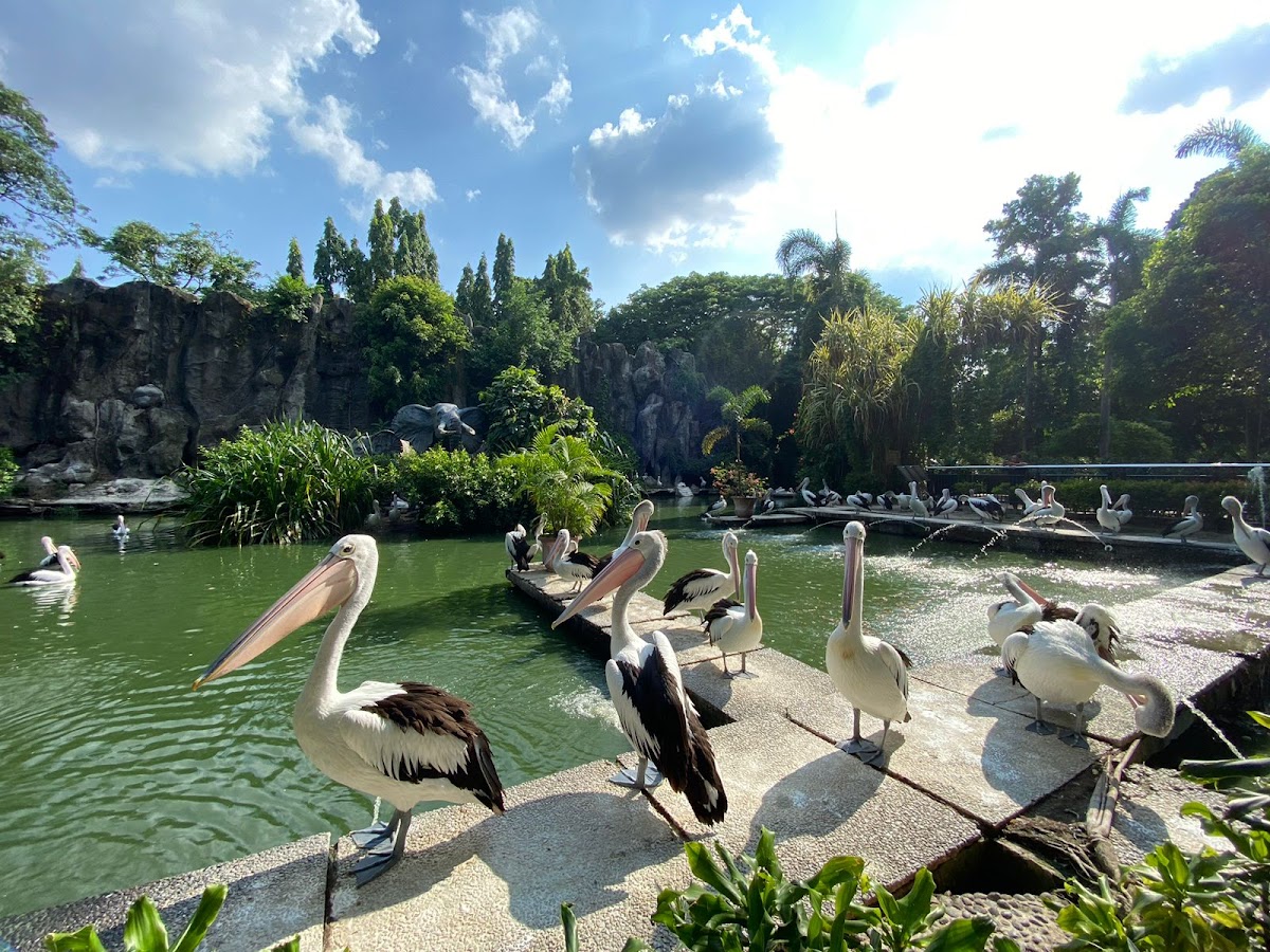 Ragunan Zoo