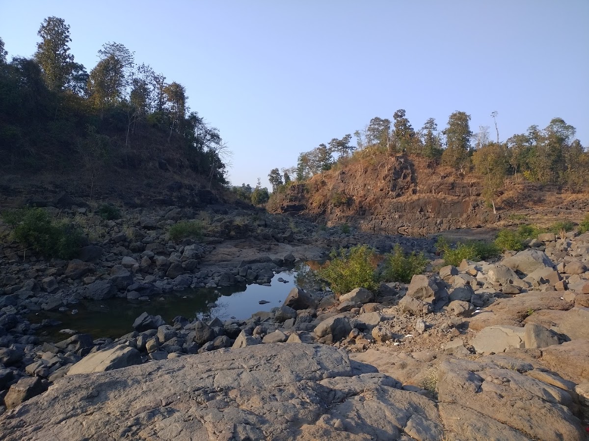 Vansda National Park