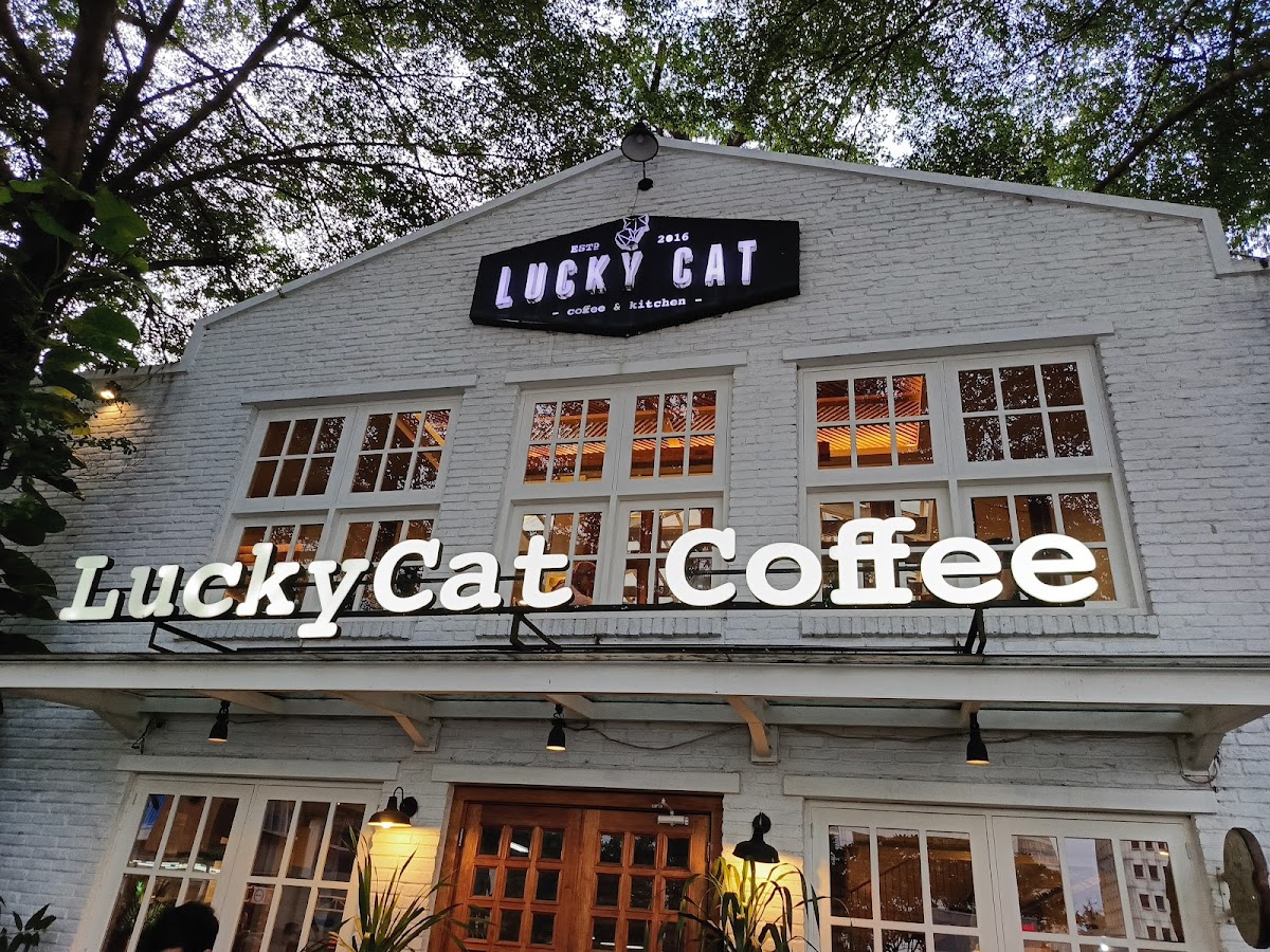 Lucky Cat Coffee & Kitchen