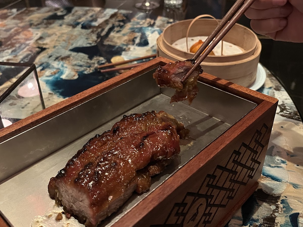Mott 32