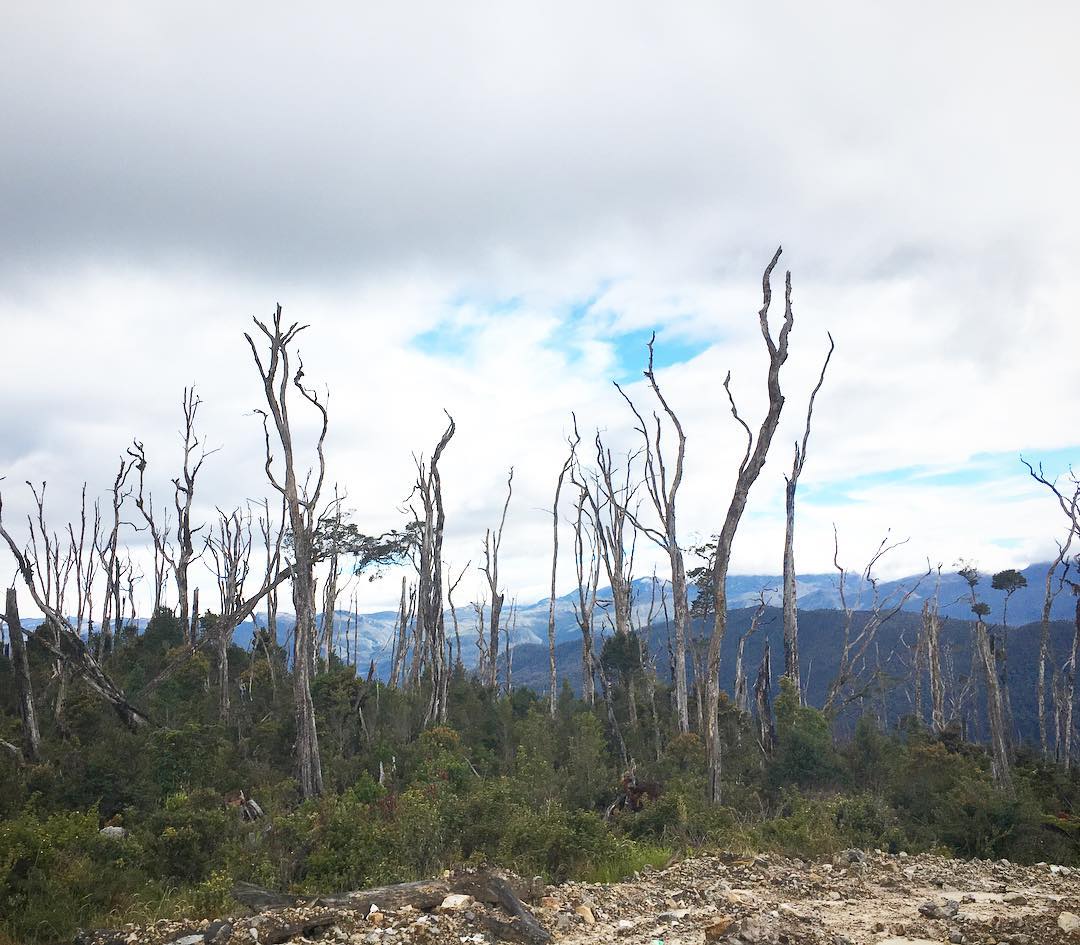 Lorentz National Park