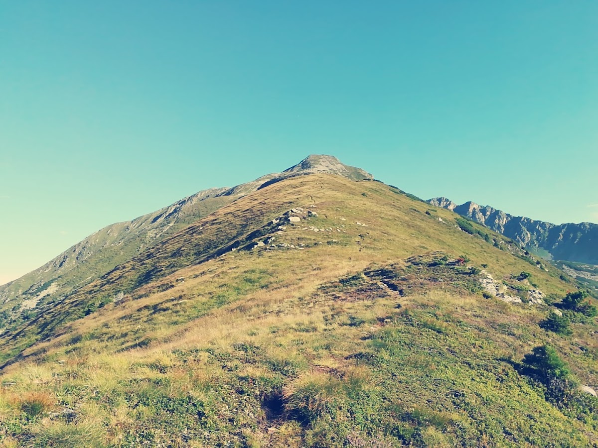 Geierhaupt