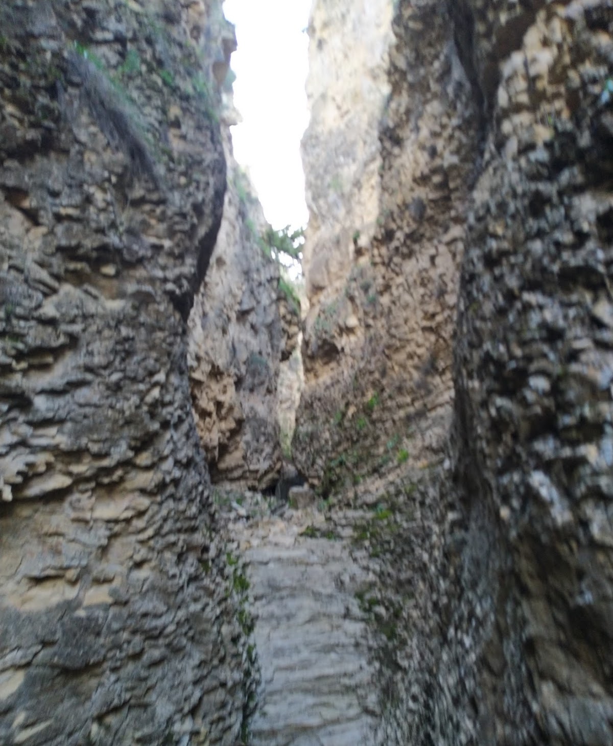 Canyon