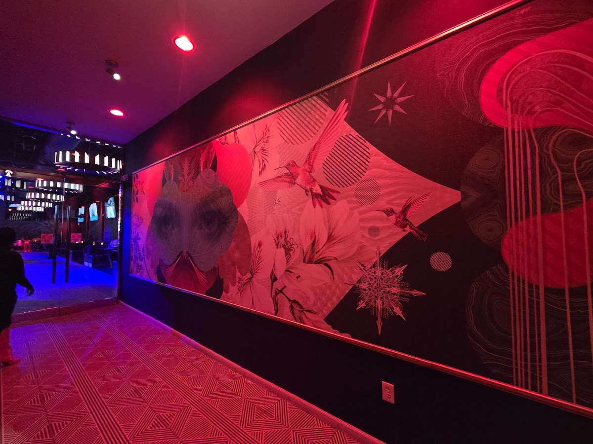 Insomnia Nightclub
