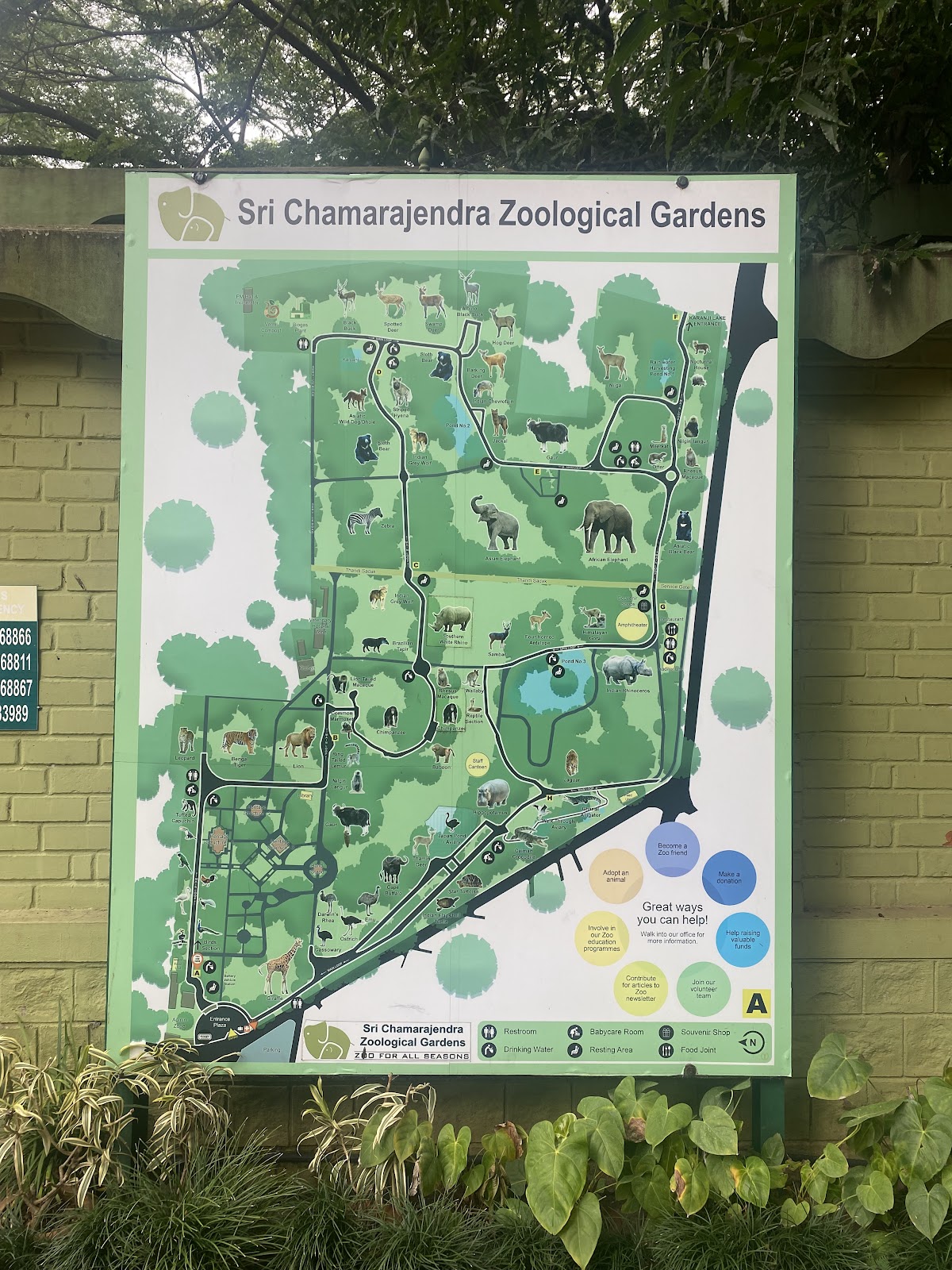 Sri Chamarajendra Zoological Gardens