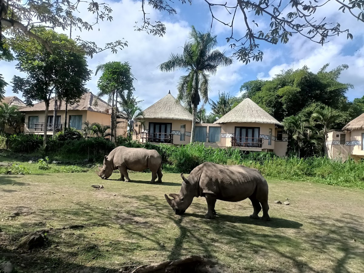 The Amazing Taman Safari Bali