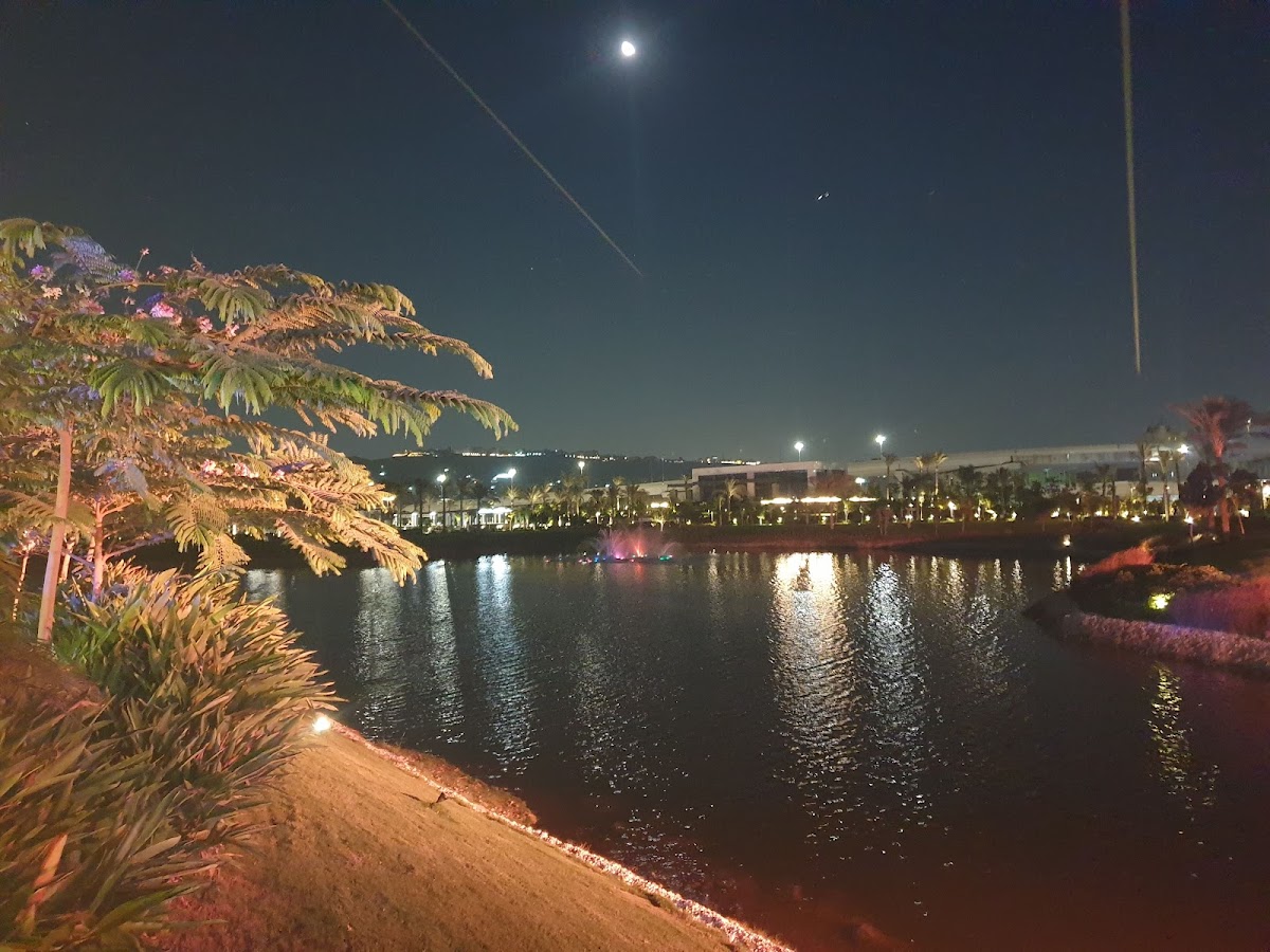 Cairo Lake Le Lac Du Caire 2