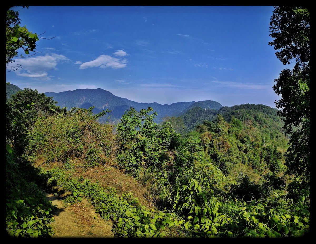 Buxa Tiger Reserve photo 5
