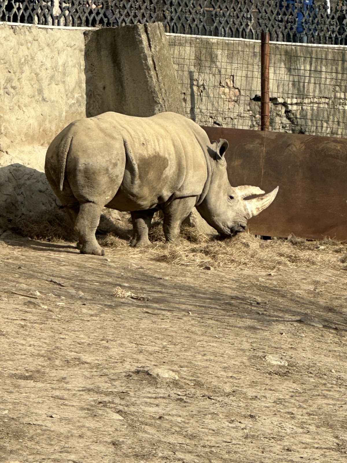 Tbilisi Zoo