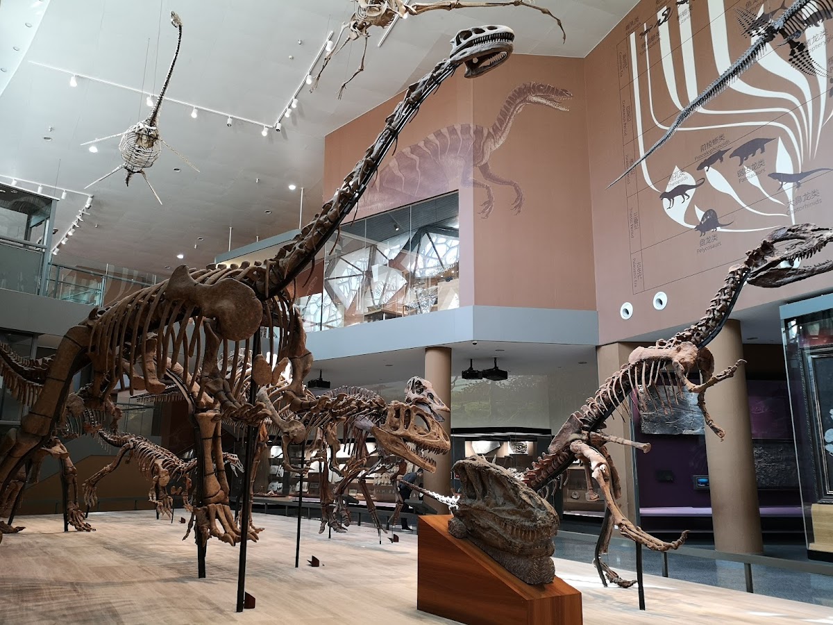 Shanghai Natural History Museum.