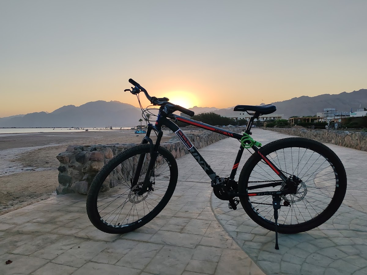 Izzy bike store