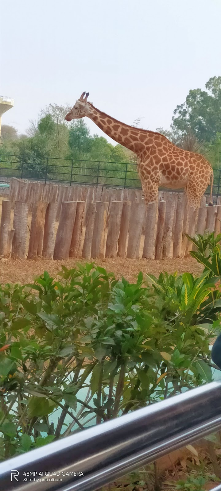 Bannerughatta Biological Park