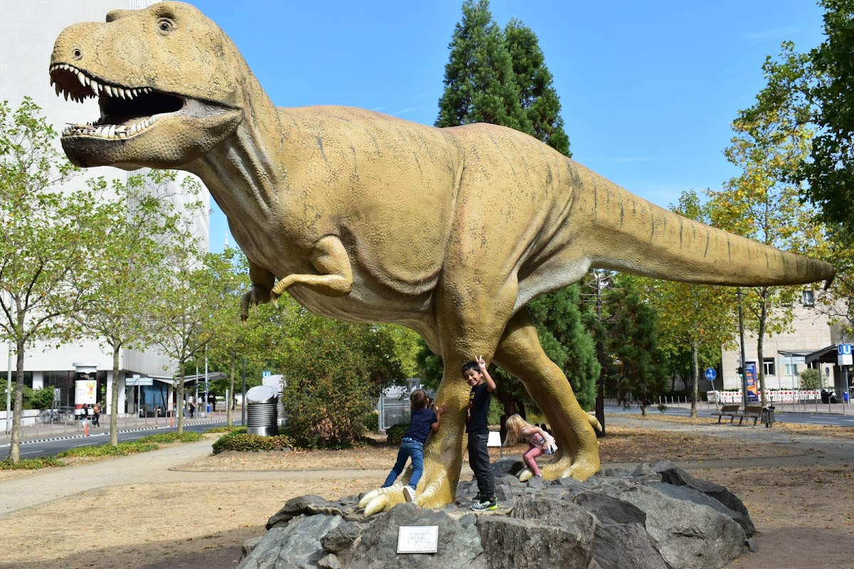 Senckenberg Nature Museum