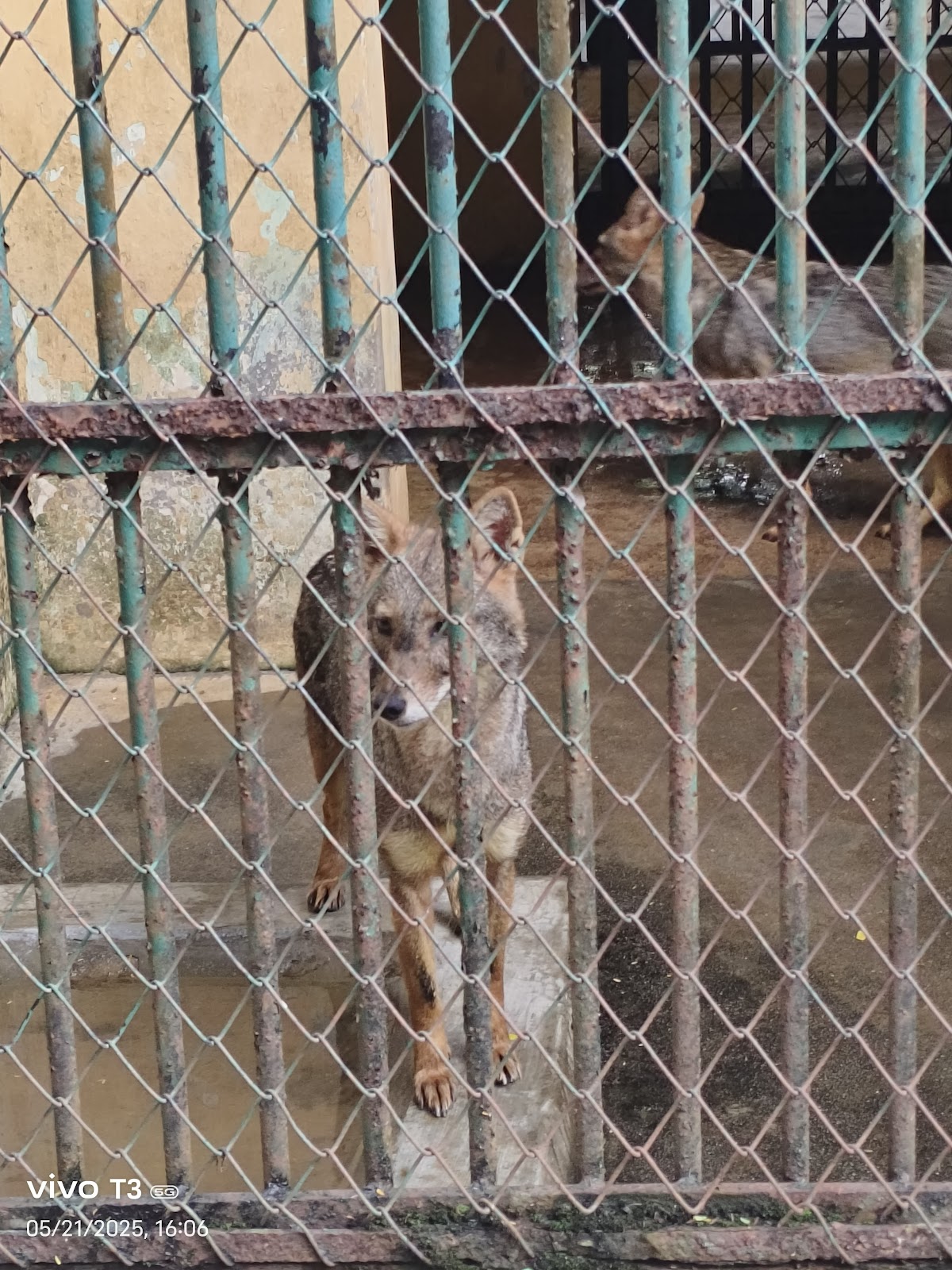 Thrissur Zoo & Museum