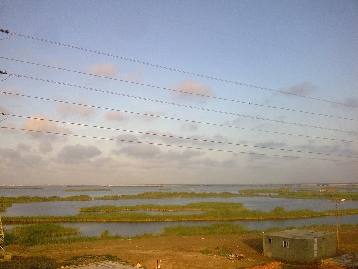 Al Manzalah Lake
