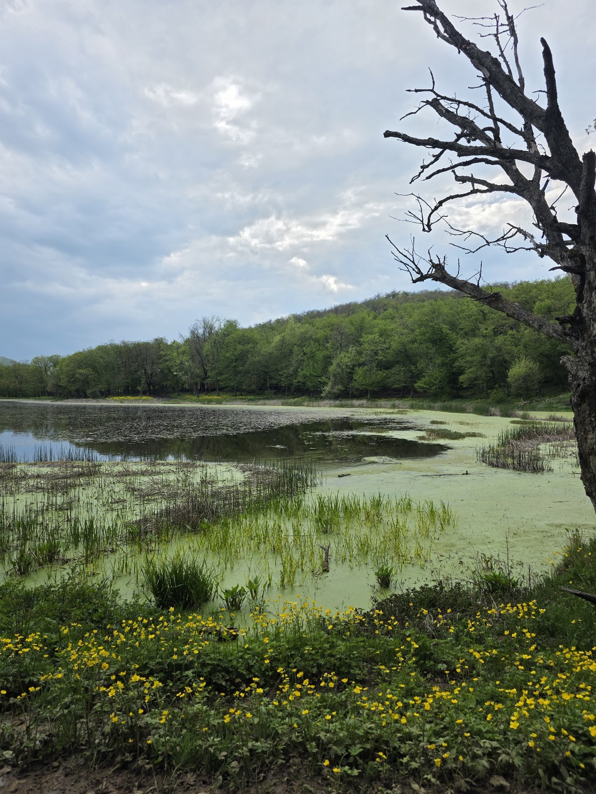 Chili Lake