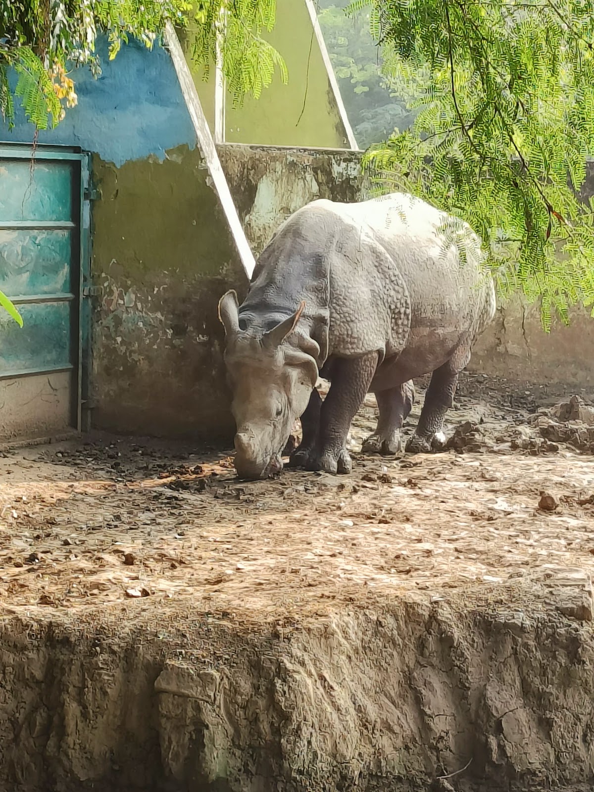 Patna zoo