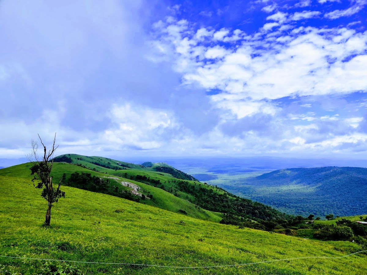 Bandipur National Park