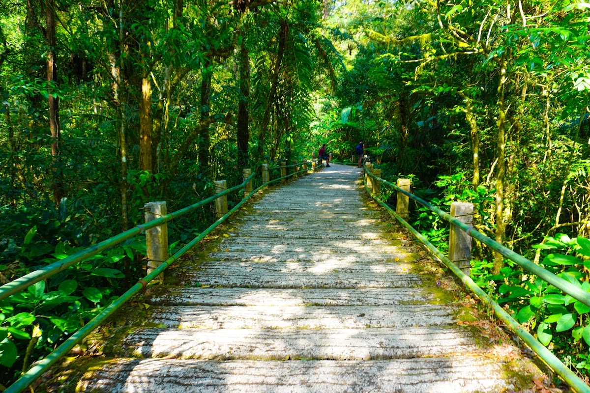 Gunung Gede Pangrango National Park Office