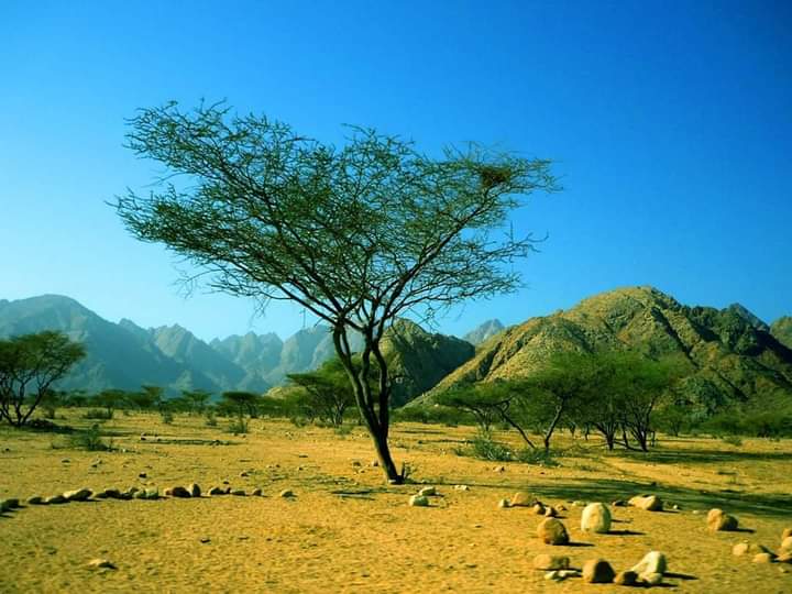 Jabal `Ilbah