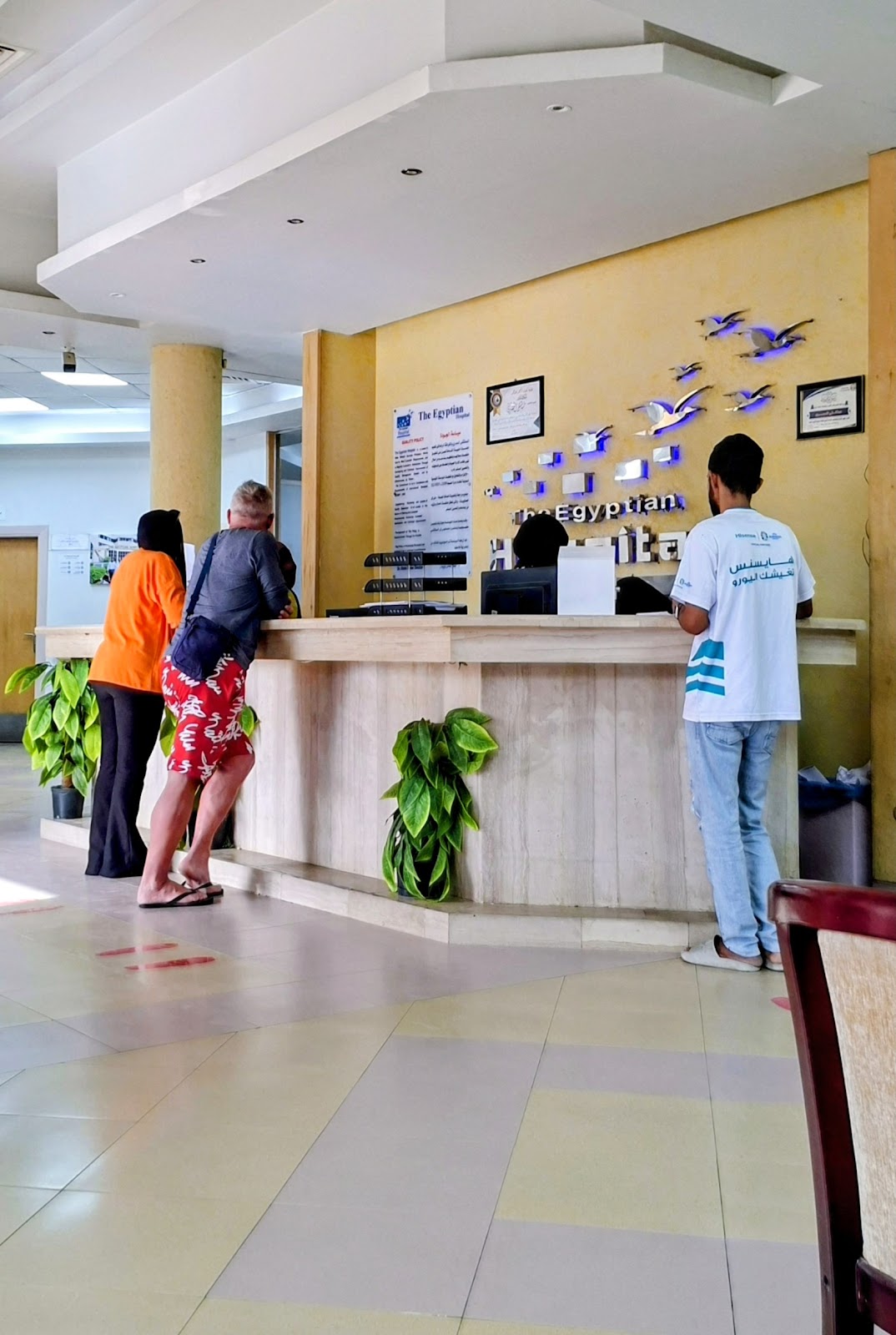 The Egyptian Hospital