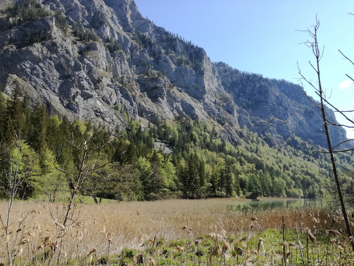 Leopoldsteinersee