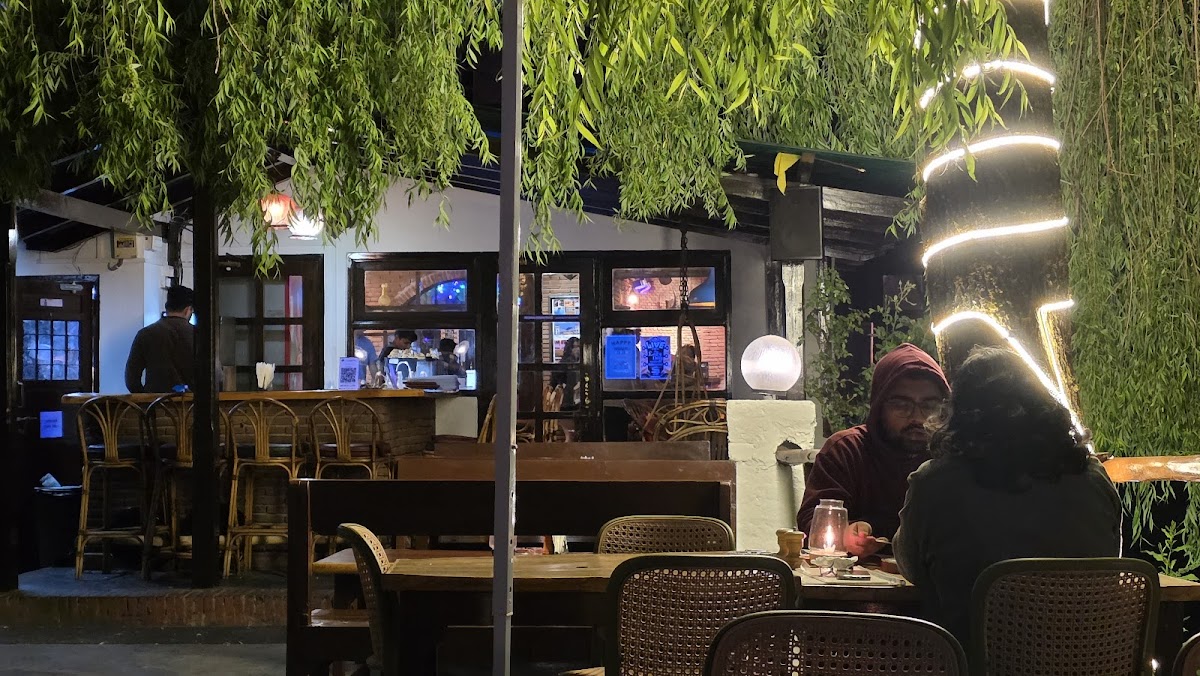 𝗧𝗵𝗲 𝗟𝗮𝘇𝘆 𝗗𝗼𝗴 Lounge
