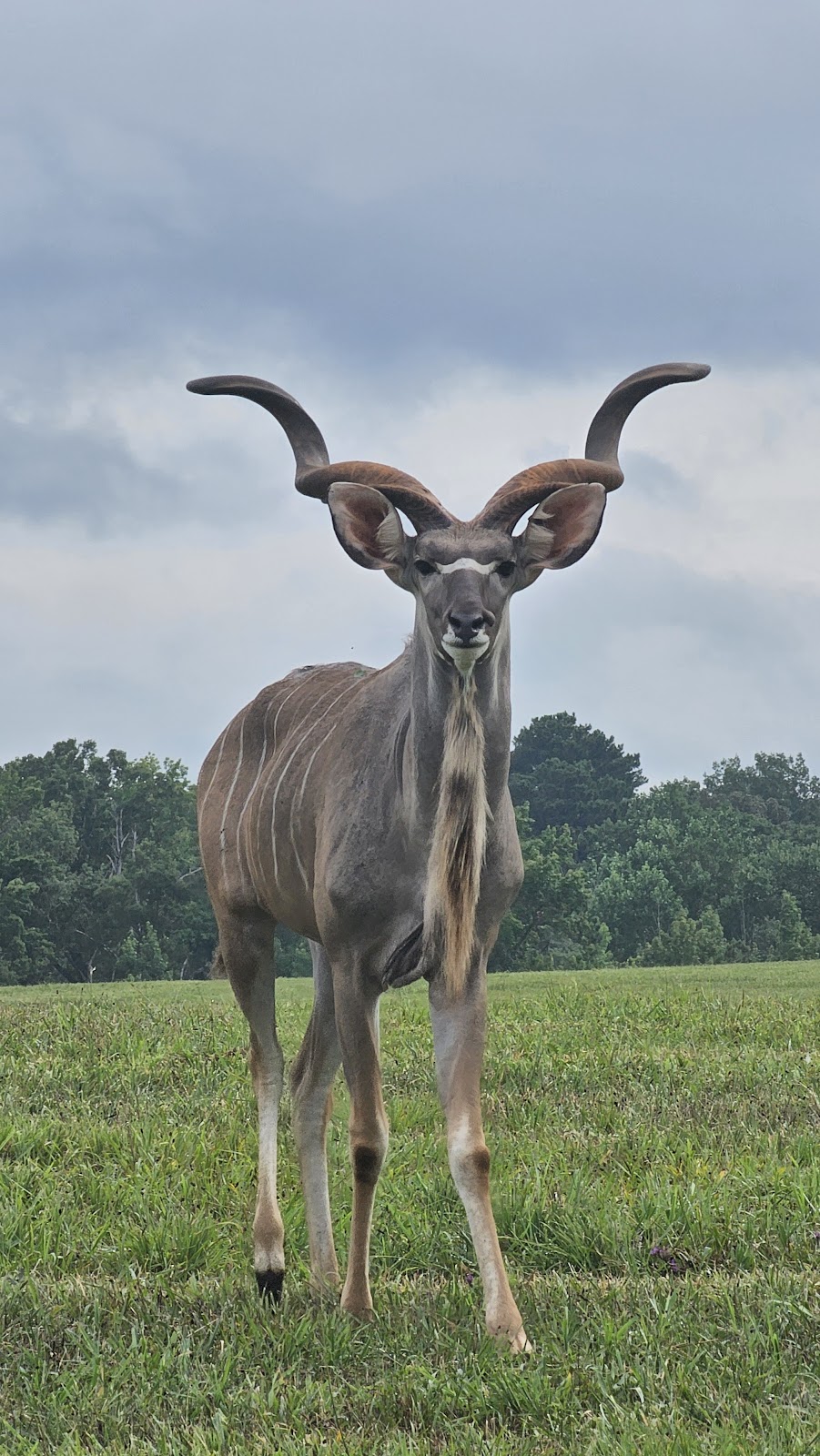 Georgia Safari Conservation Park