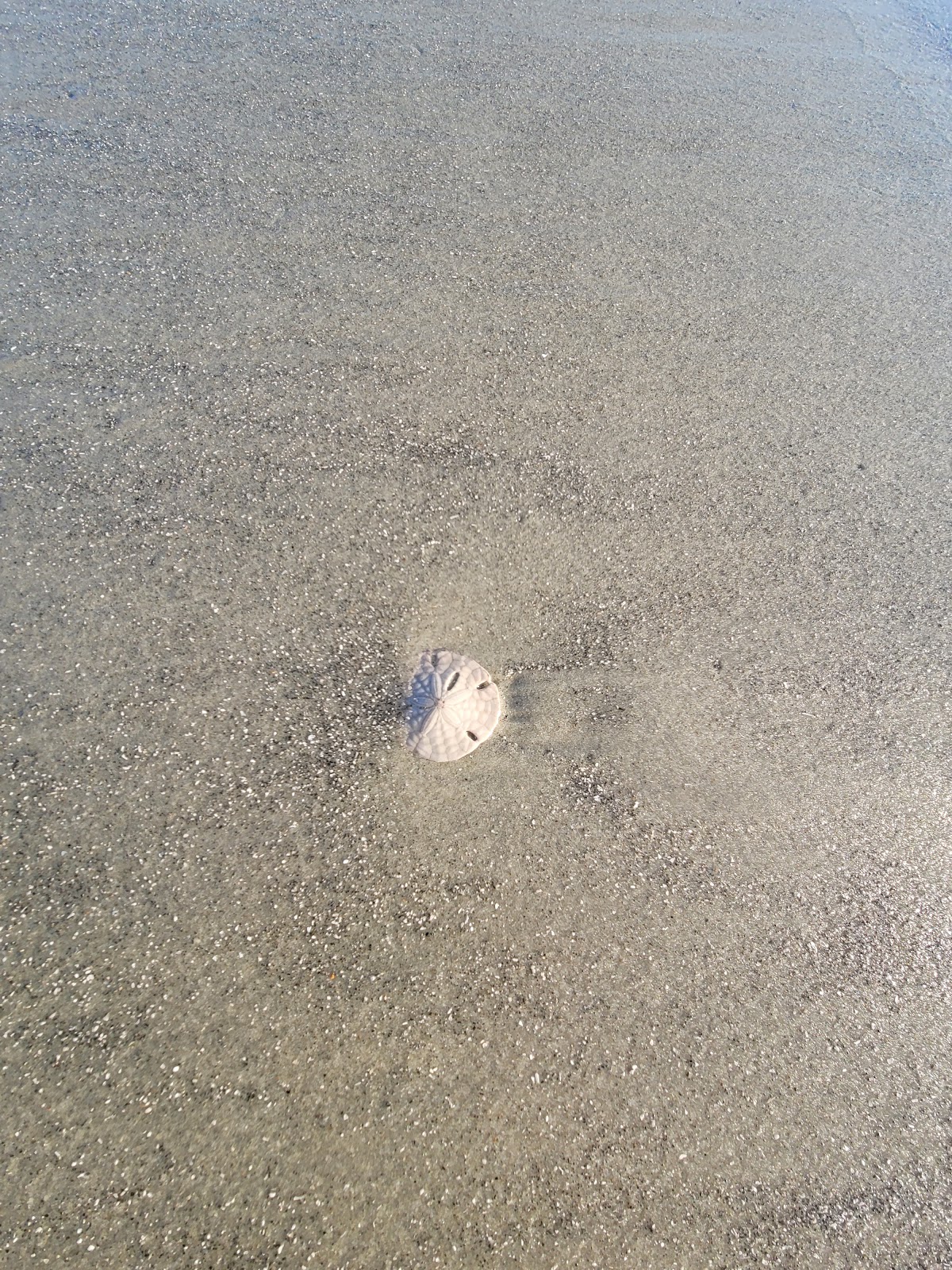 Jekyll Island Oceanview Beach Park