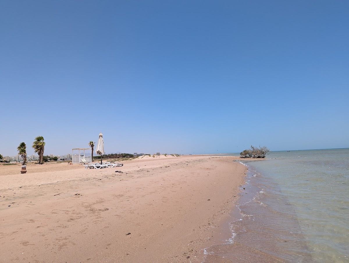 ZOUNi Beach - Mangroovy