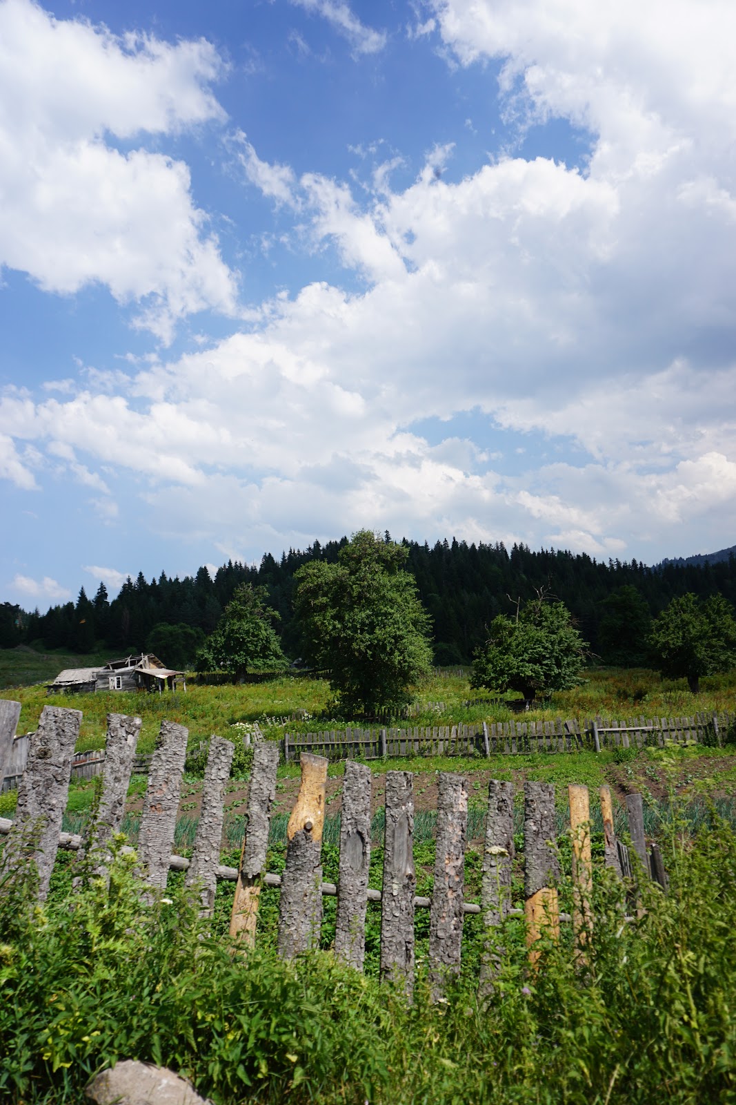 Kakhisi Lake