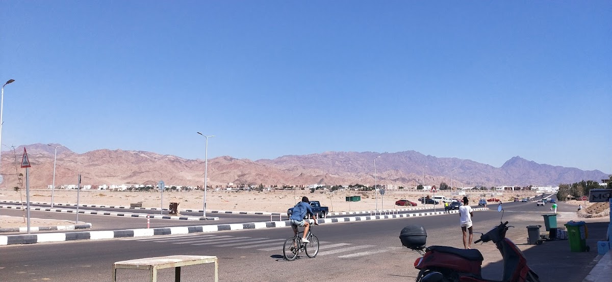 WE BUS Dahab