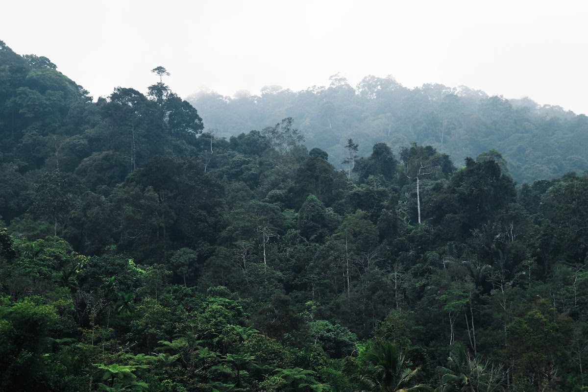 South Bukit Barisan National Park