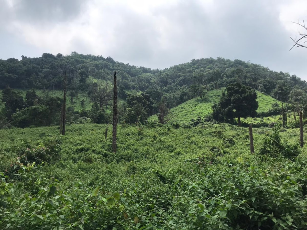Papikonda National Park