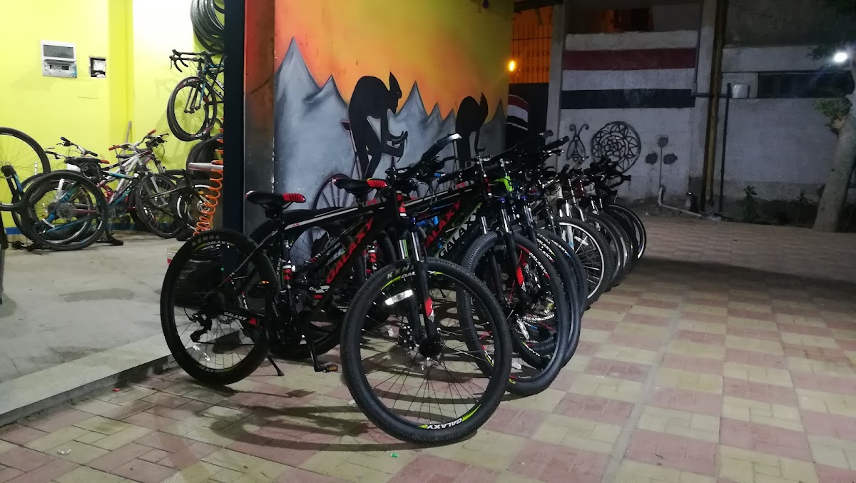 Roma Bike