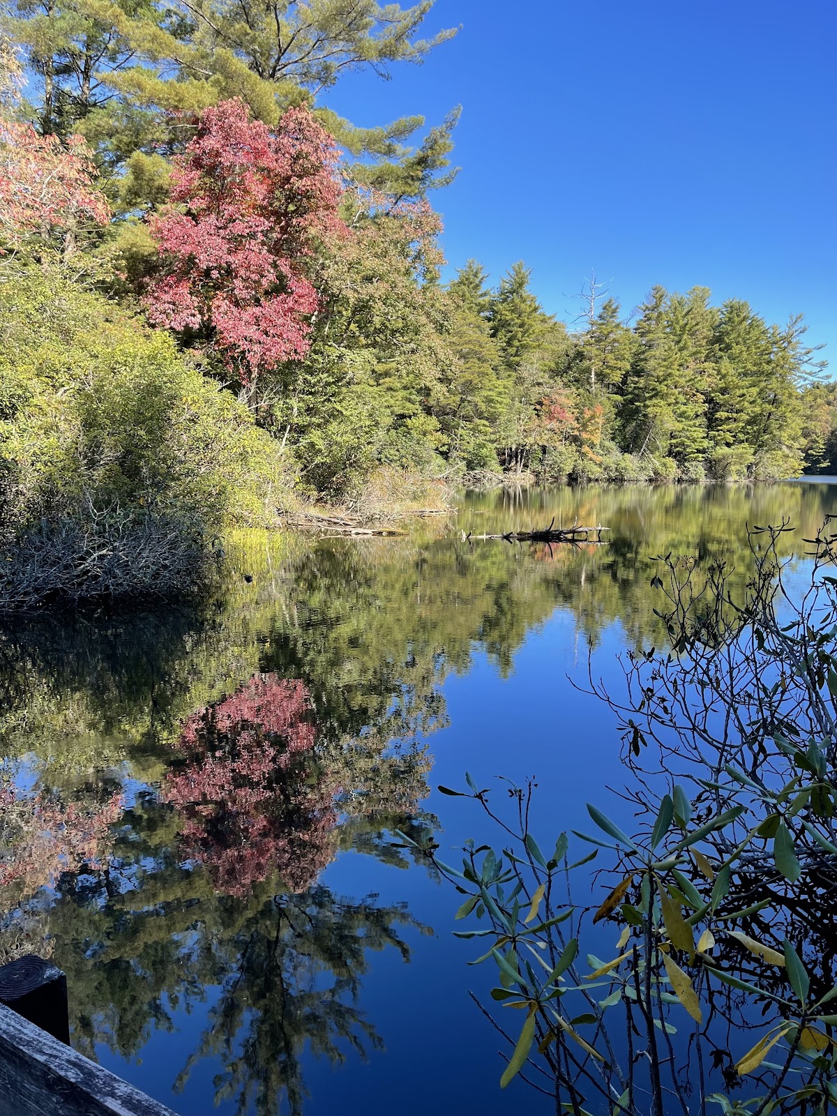 Conasauga Lake