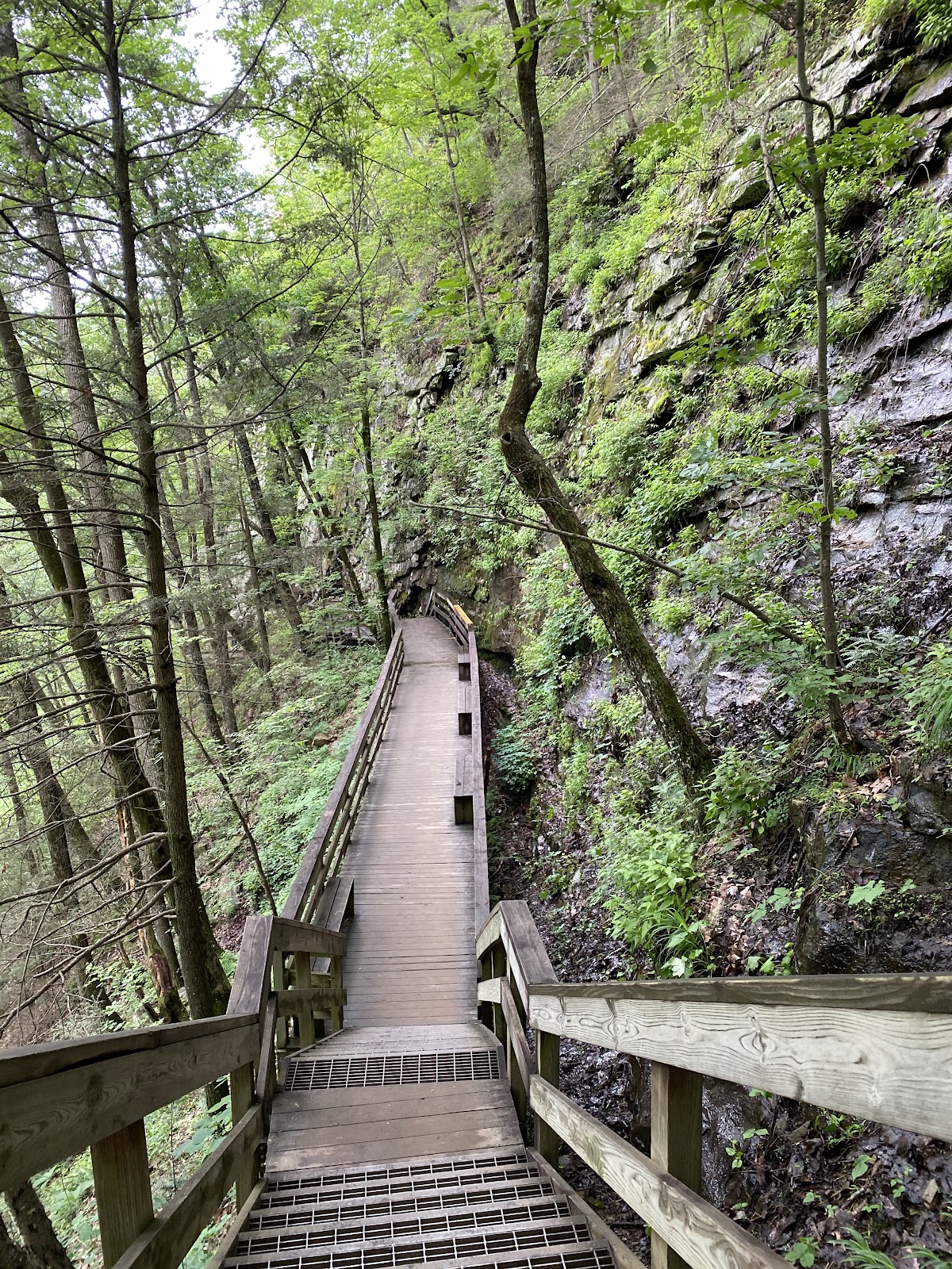 Cloudland Canyon State Park