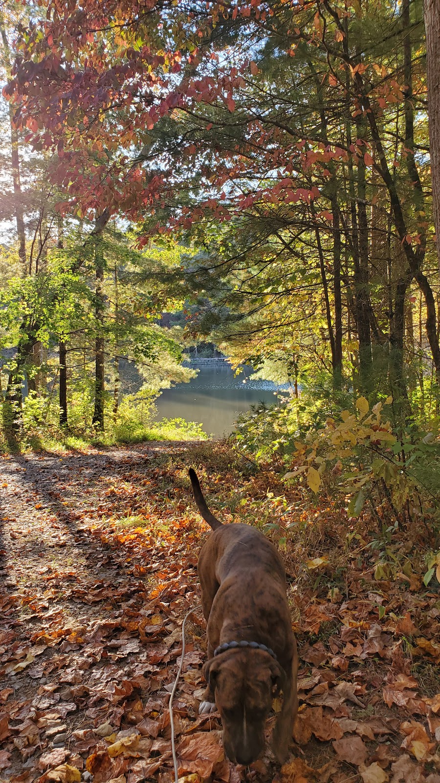 Murrays Lake