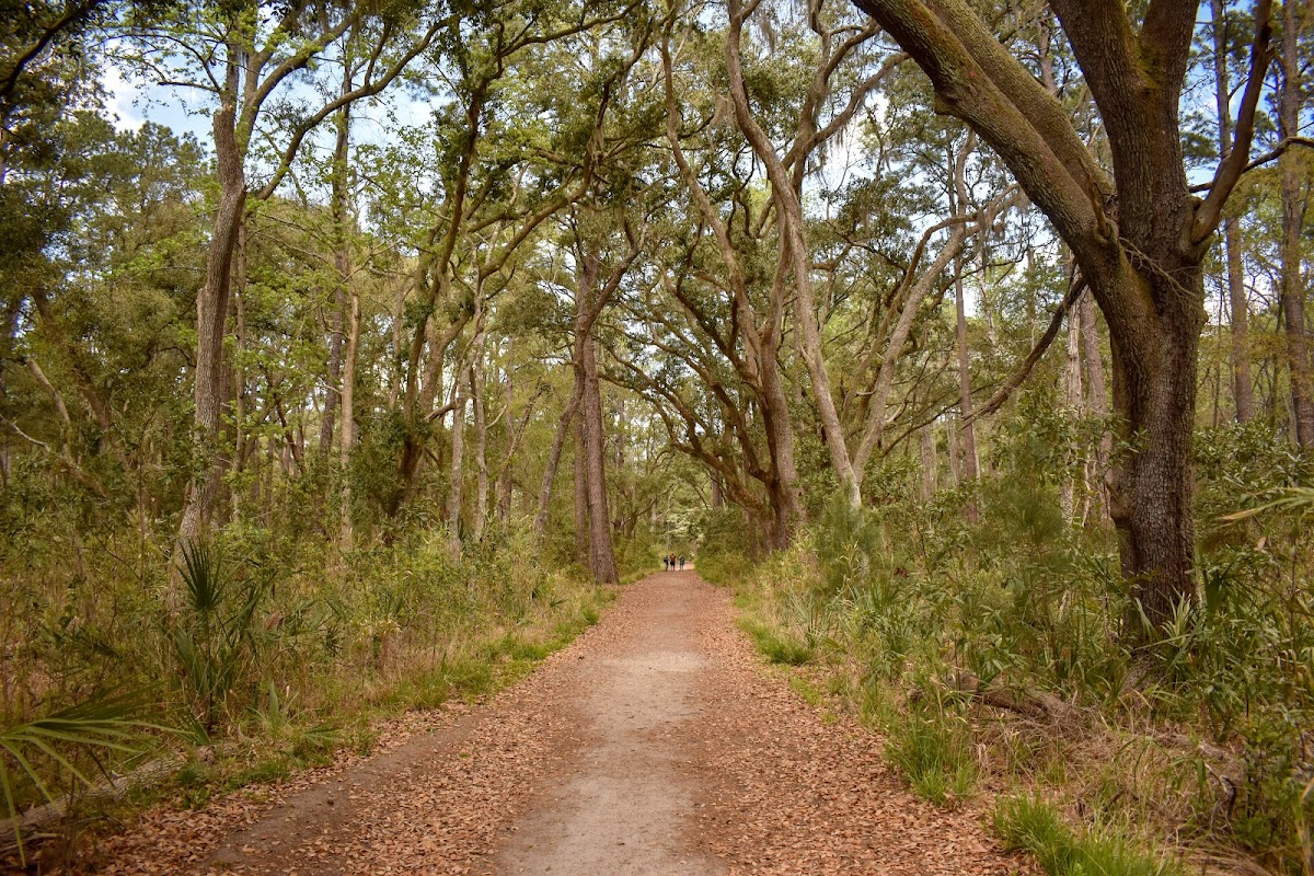 Skidaway Island State Park