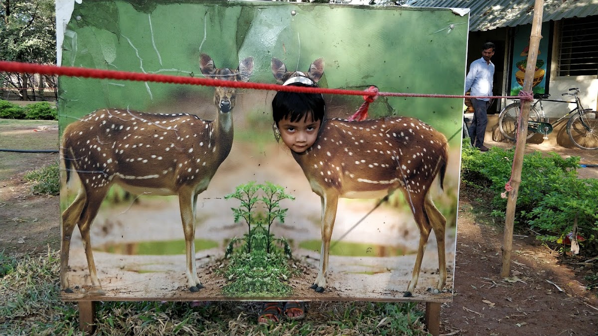 Mahavir Harina Vanasthali National Park