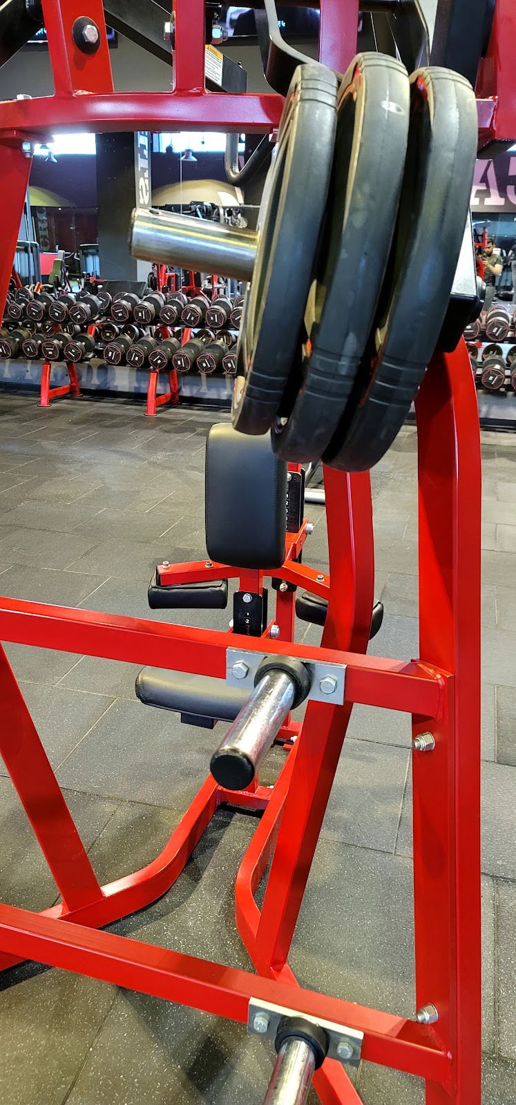 World Gym New Cairo