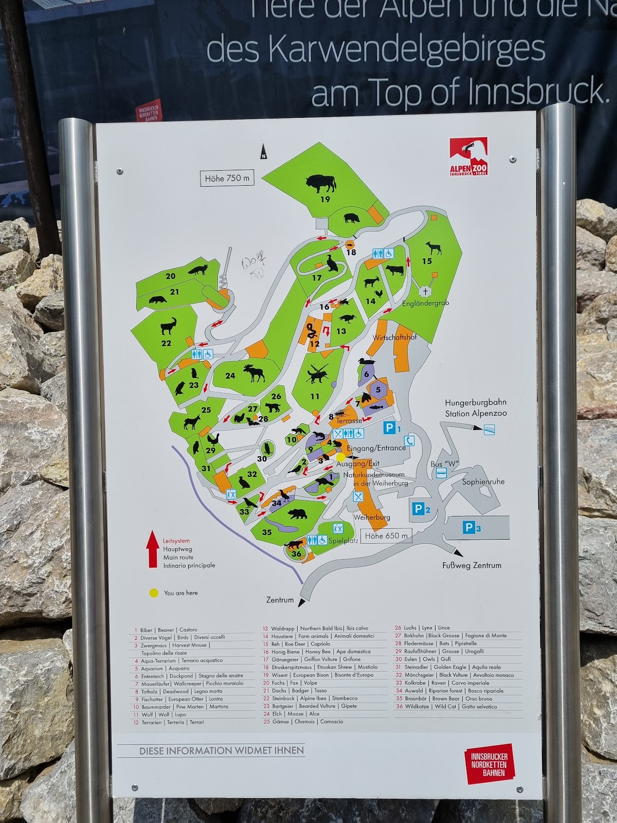 Alpenzoo Innsbruck - Tirol