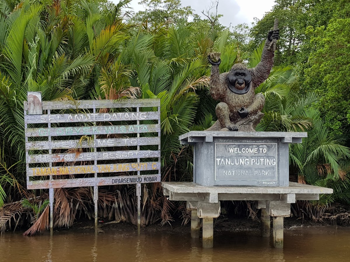 Taman Nasional Tanjung Puting