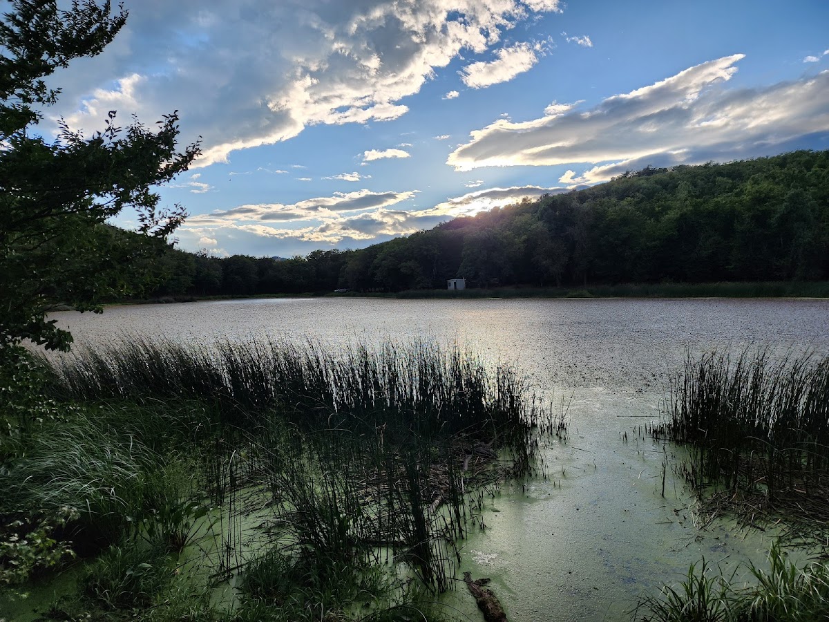 Chili Lake photo 3