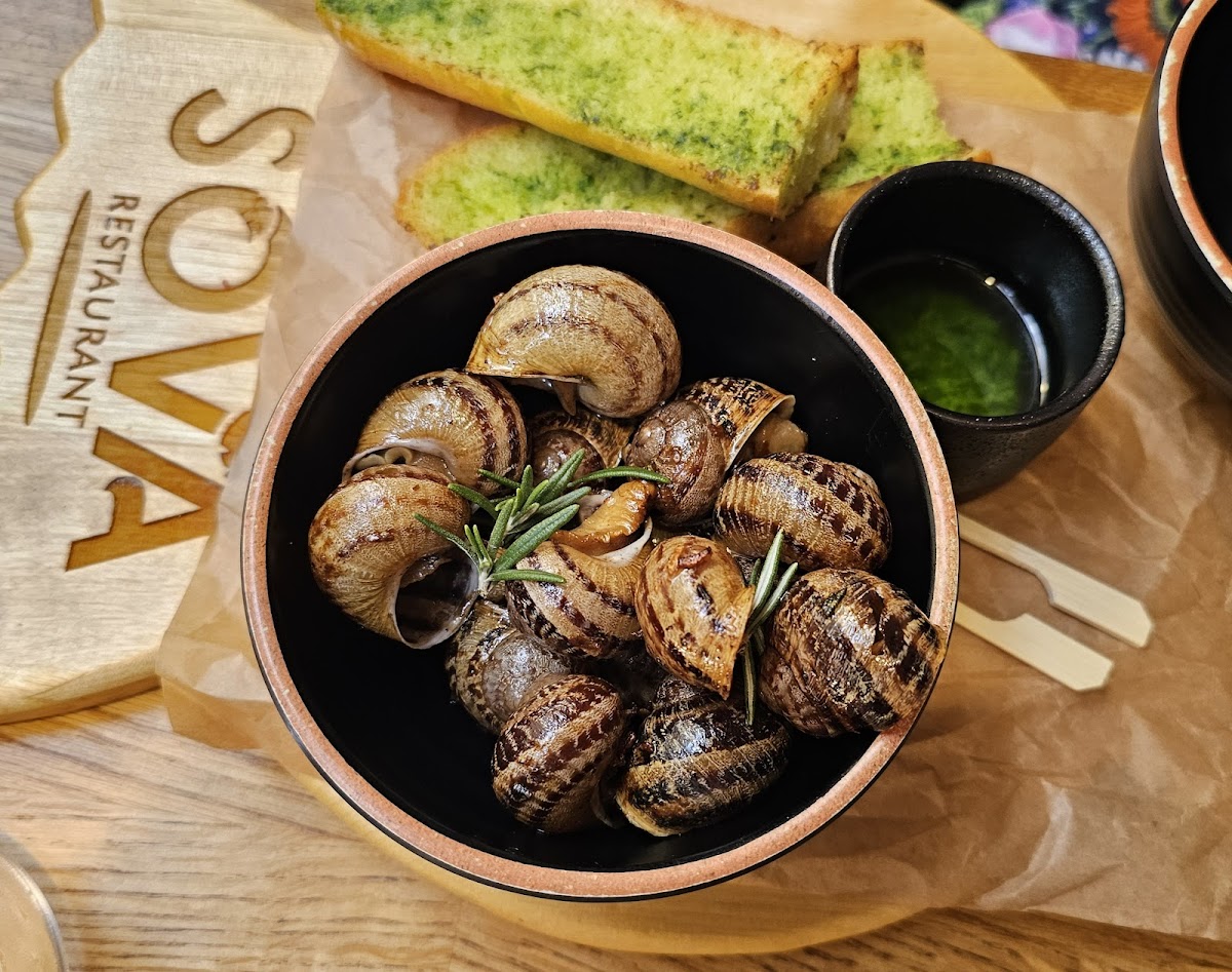 SOVA | Modern Czech Cuisine