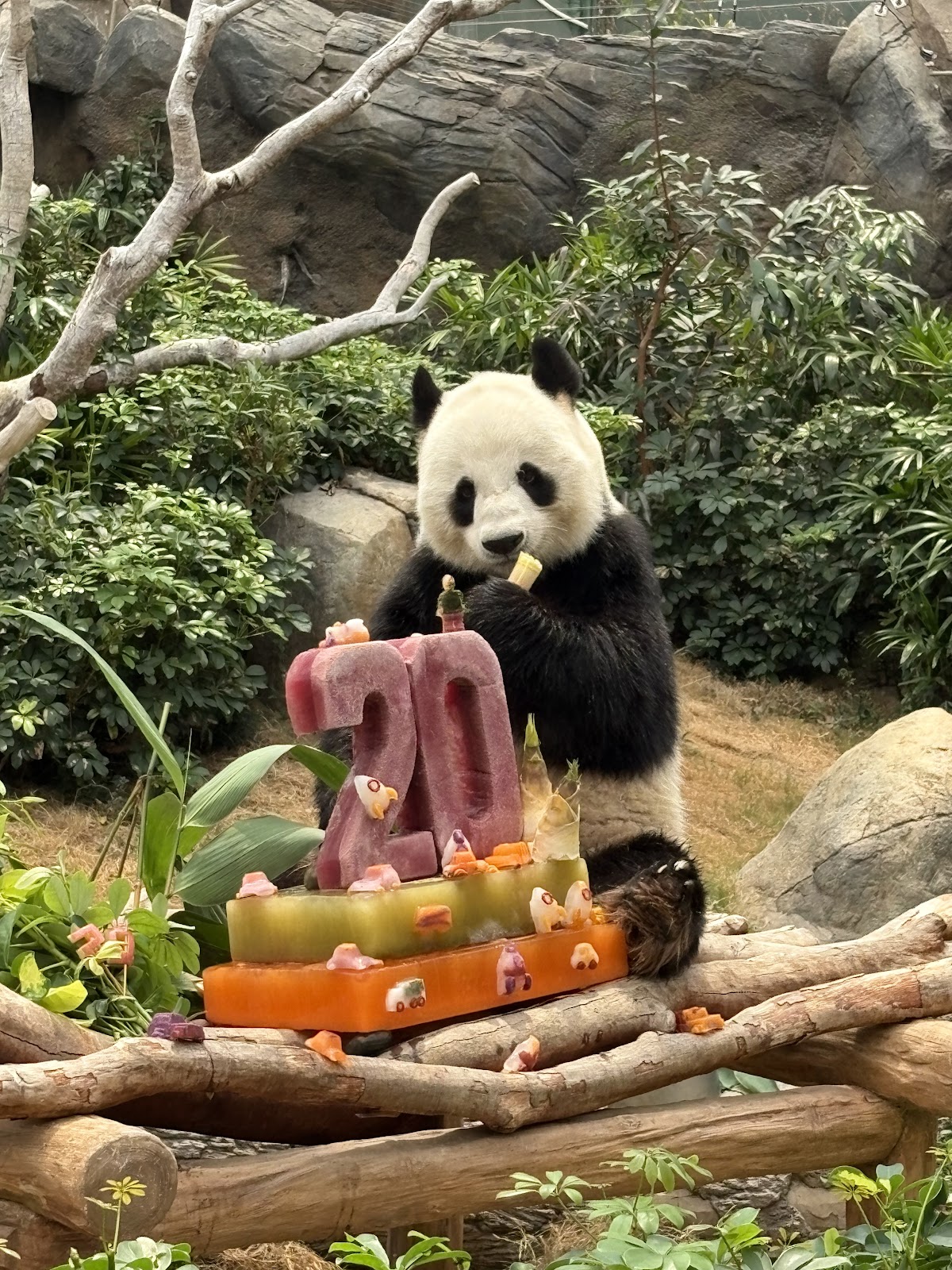 Ocean Park