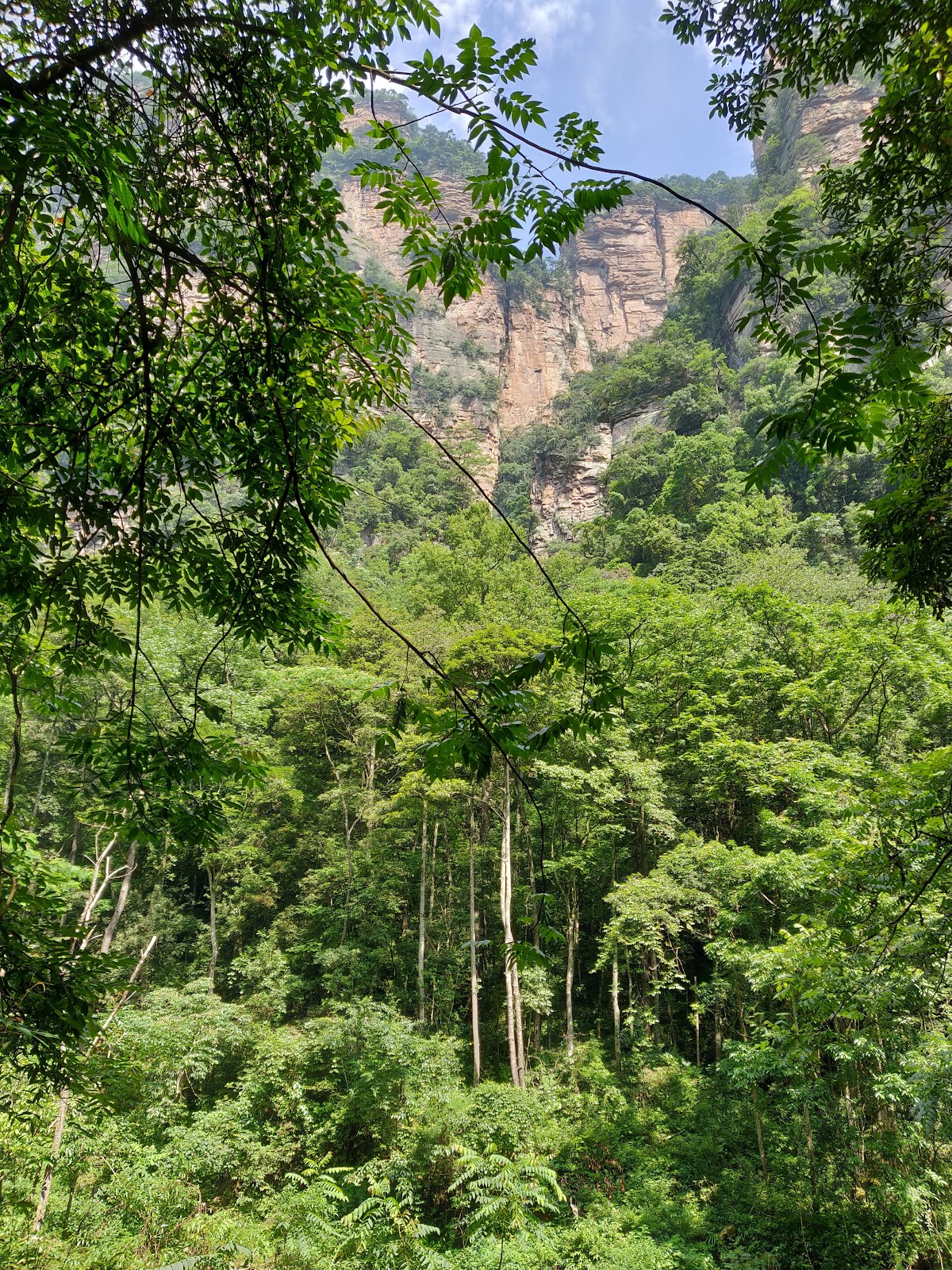 Yangjiajie Scenic Area
