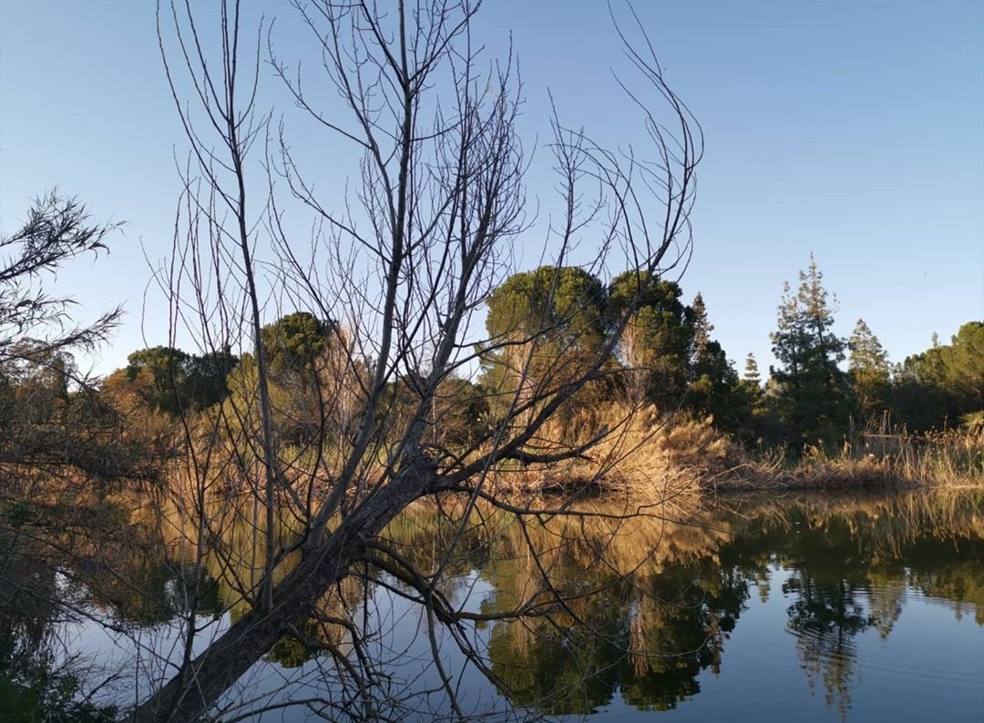 Athalassa National Forest Park