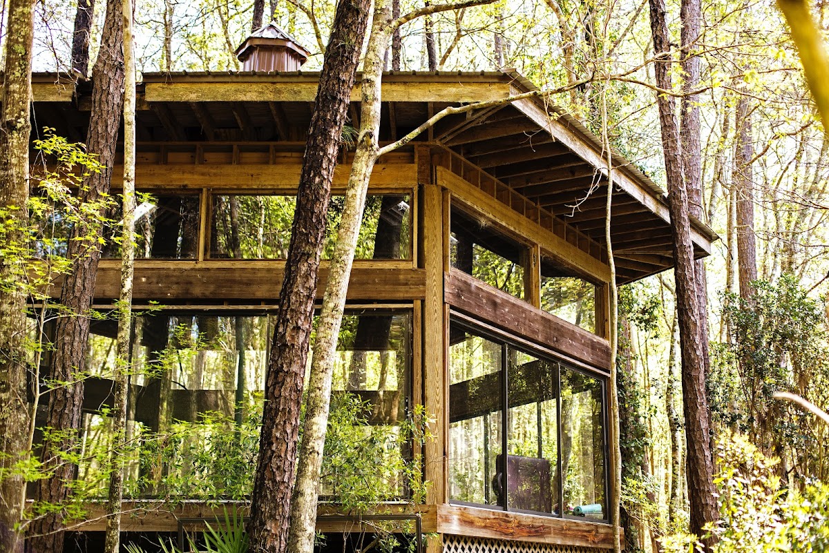 Hostel In the Forest